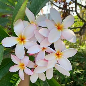 Meet your Posher, Beverly